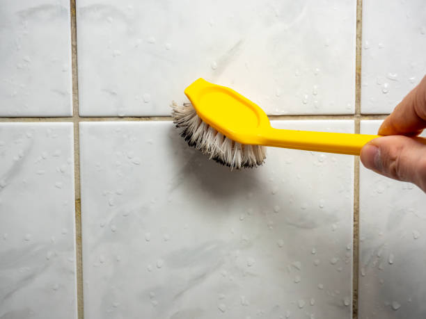 Best Black Mold Removal  in Palm Beach, FL